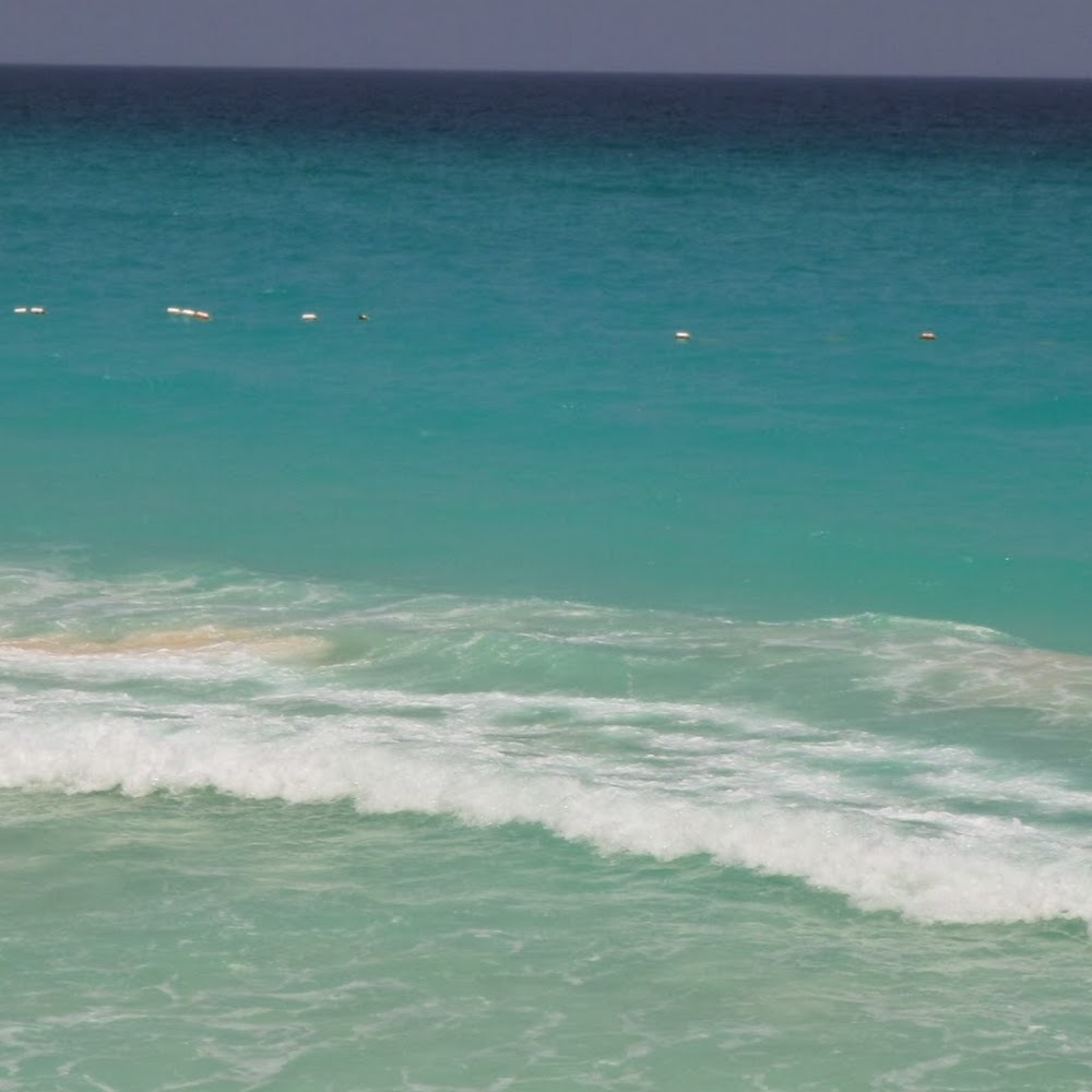 Meet your Posher, Shane